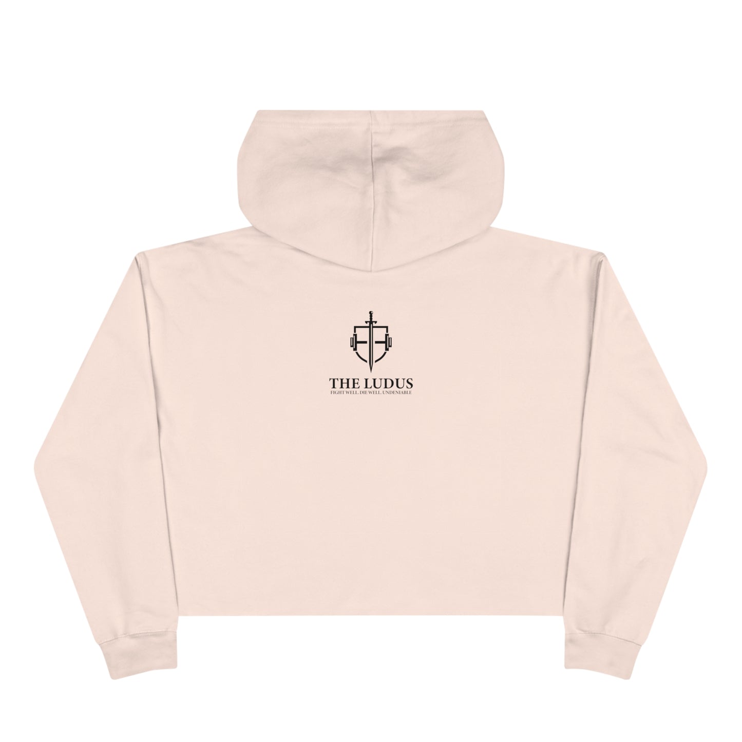 Villain Arc Crop Hoodie