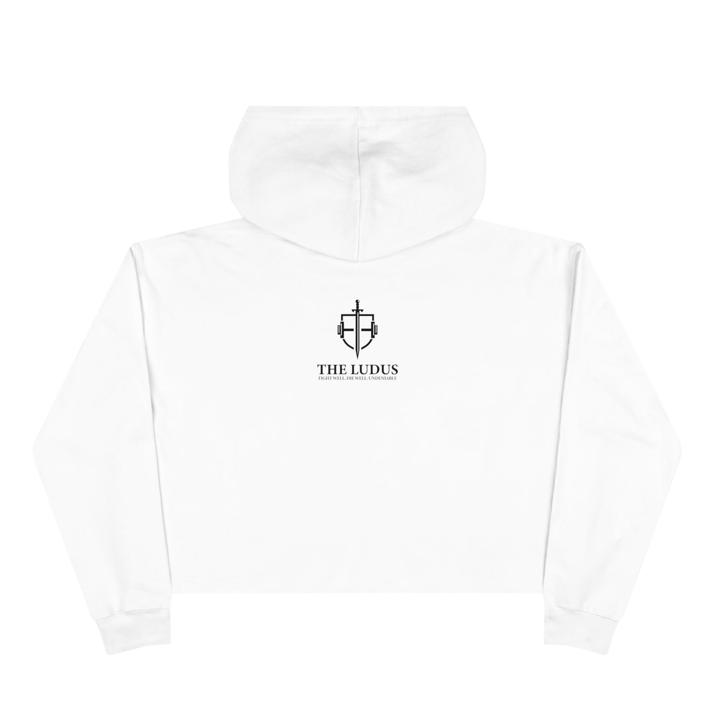 Villain Arc Crop Hoodie