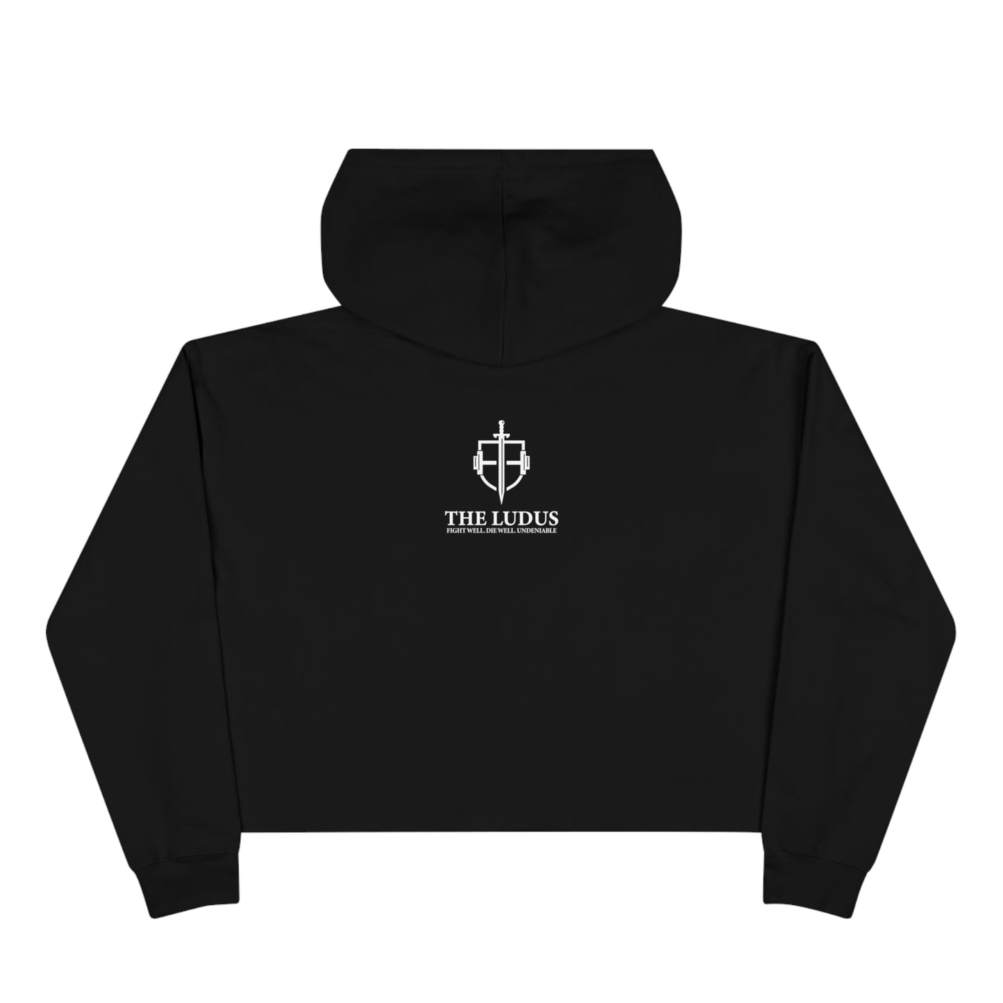 Villain Arc Crop Hoodie