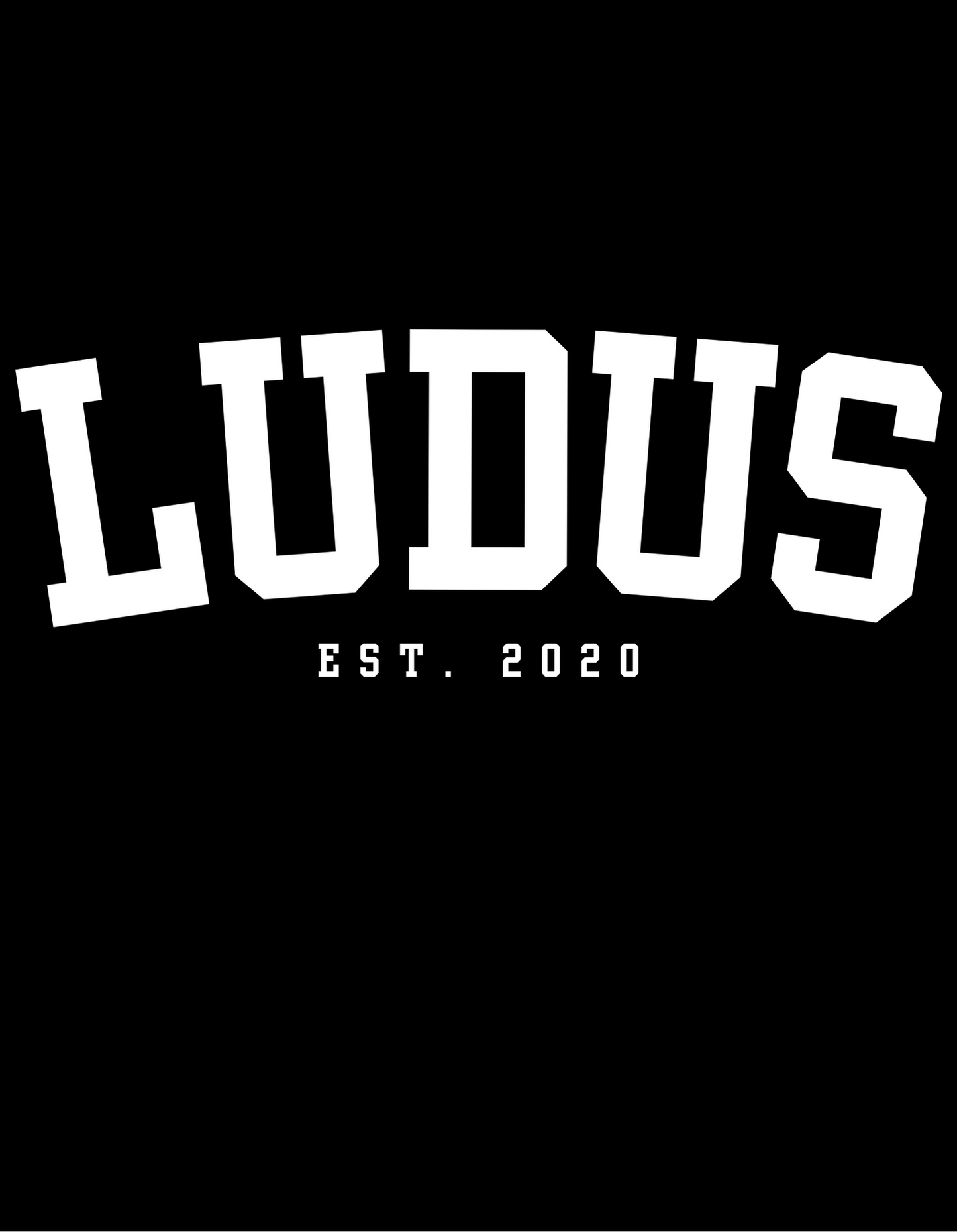 Ludus Tee